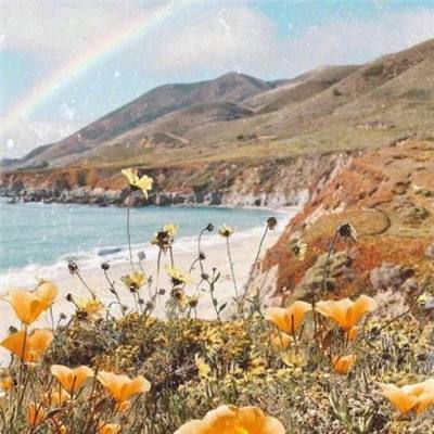 乐鱼体育APP下载安装