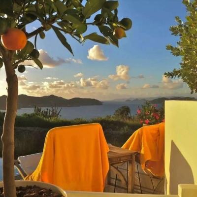 ag真人国际官网