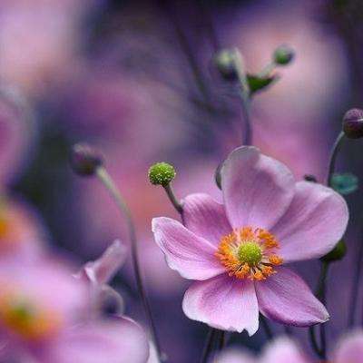 幸运彩票app下载