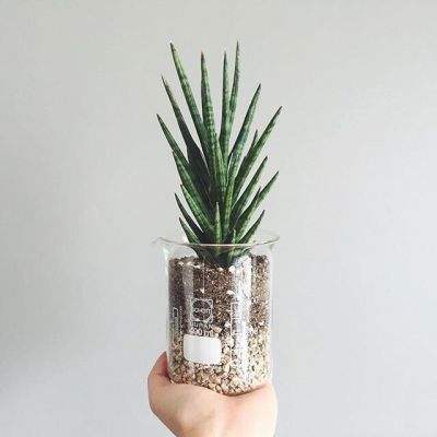 太阳集团棋牌娱乐