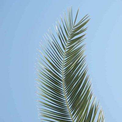 幸运28下载手机版