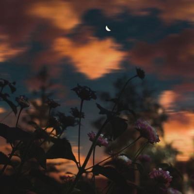 泛亚电竞综合APP