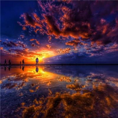 金年会手机app官方下载