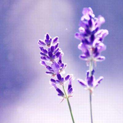 可下分电玩app下载