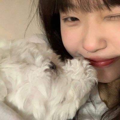 星空体育平台官网